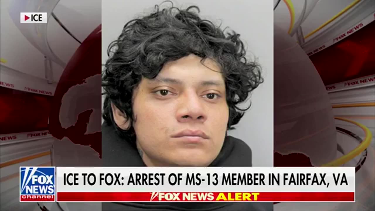 ICE ARRESTS MS-13 GANG MEMBER in Fairfax, VA, after city DEFIED detainer hold 16 TIMES!