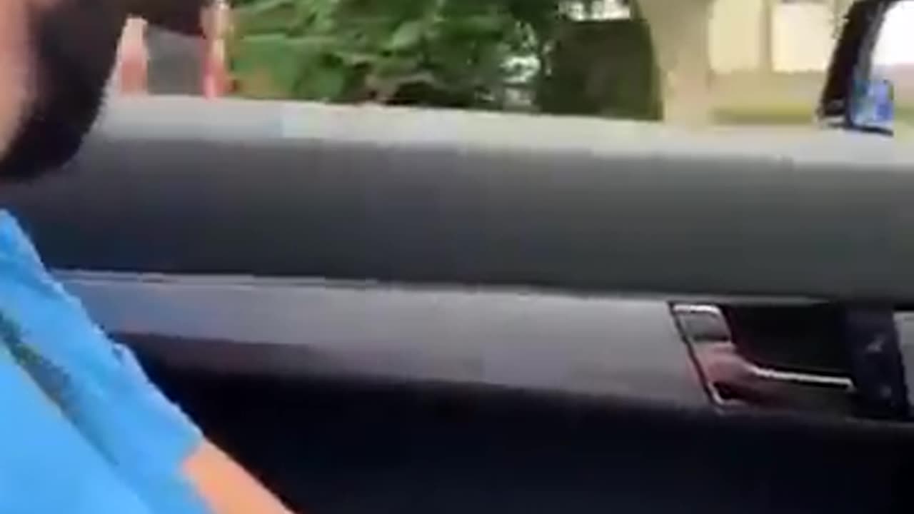 hamudi dogpill wisdom (REUPLOAD)