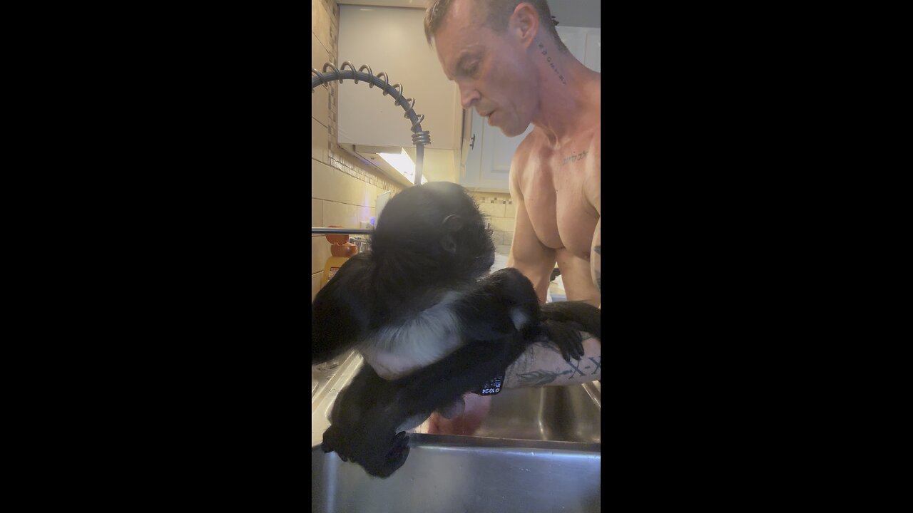 Winston Loves Baths