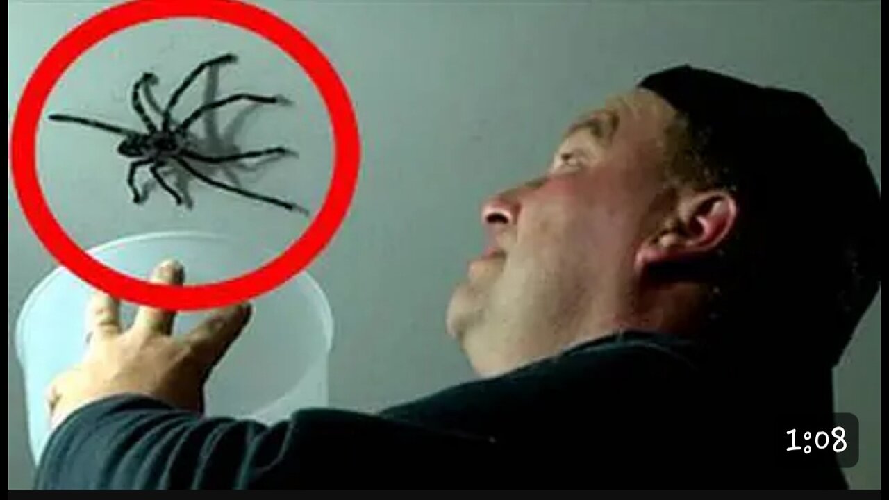 Opulence big spider attacks old opulence nostalgia