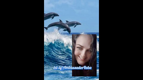 Waveful is where the fun is!