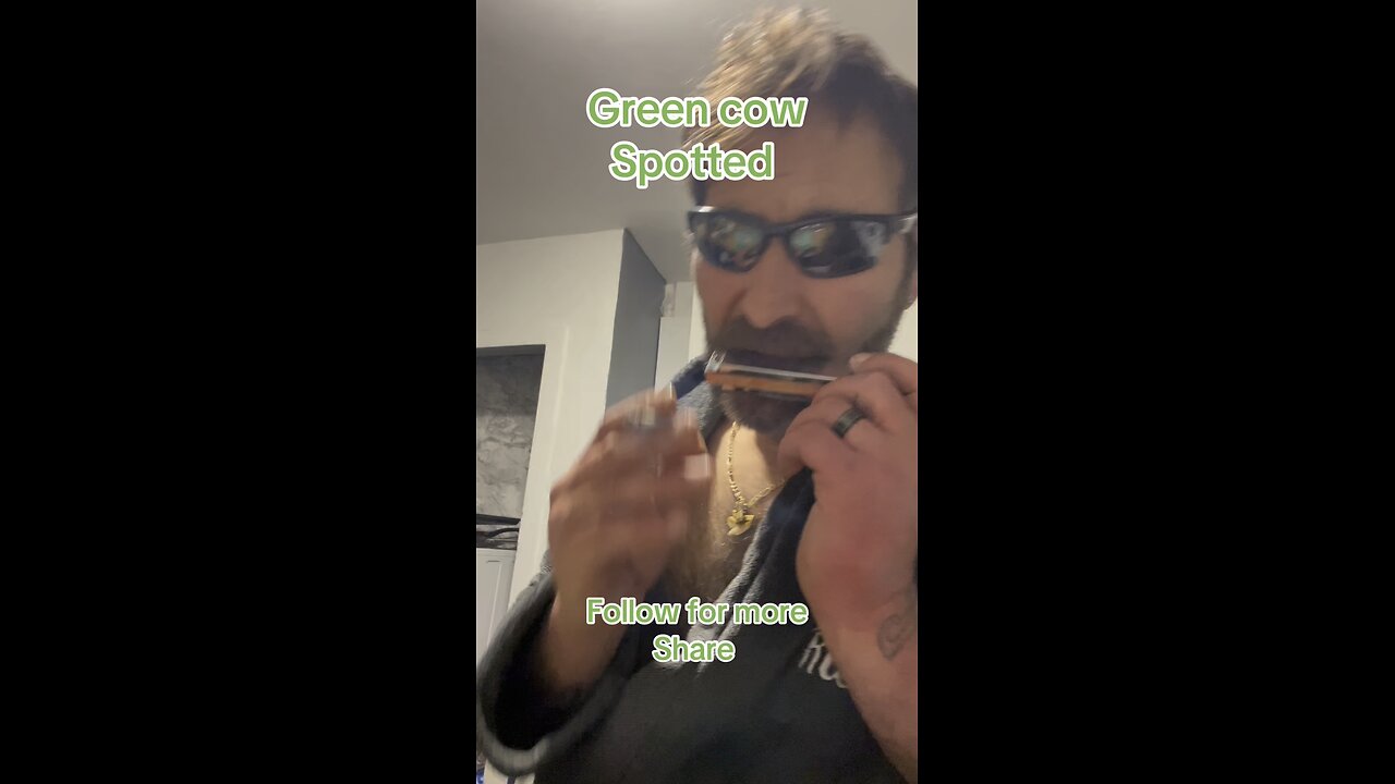 I just spotted a green cow!!