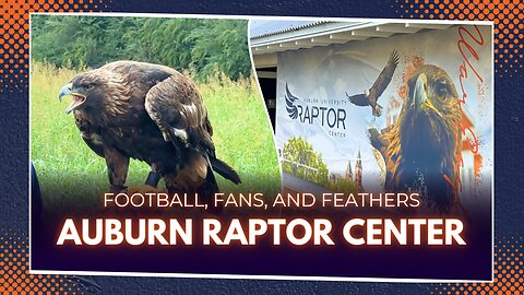 Auburn Raptor Center Bird Show | What It's Like to Attend!