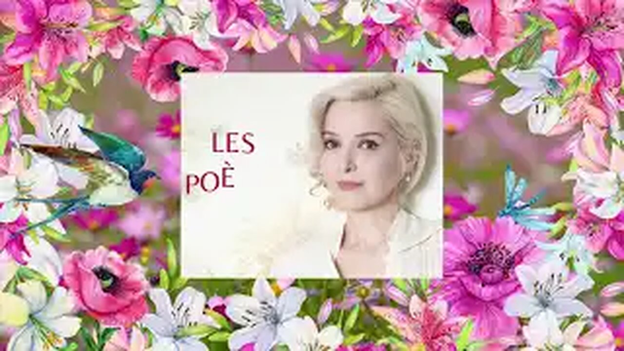 Joyeux Noël Delphine Volange (Le procès Brigitte Macron)