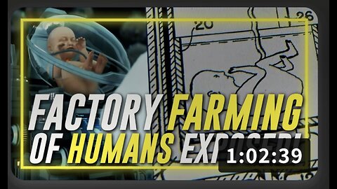 Surrogate Births Exposes The Factory Farming Of Humans
