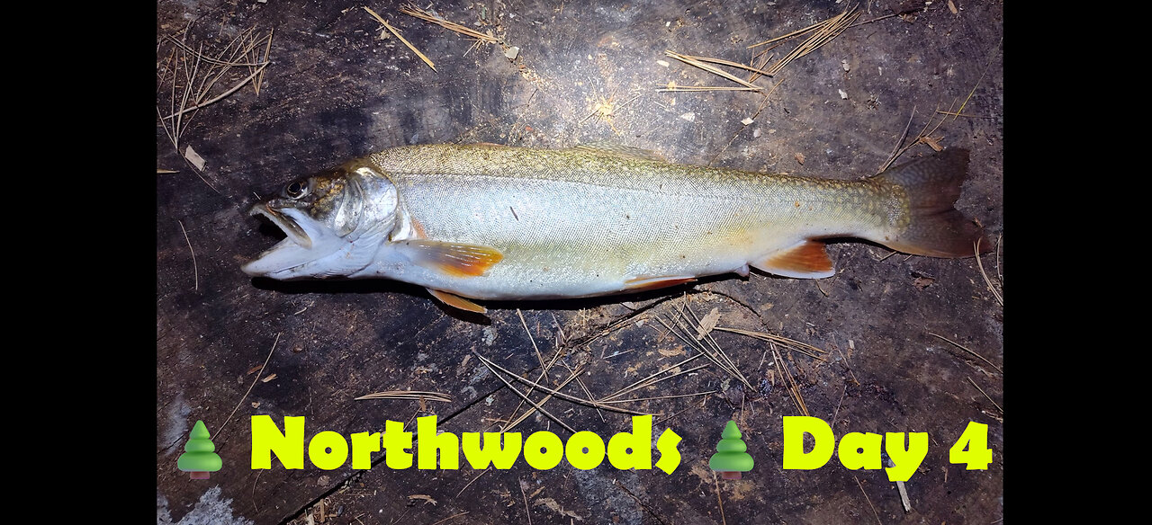 Northwoods - Day 4: A Bust On The Brule, No Shots Fired, & A Superior Splake