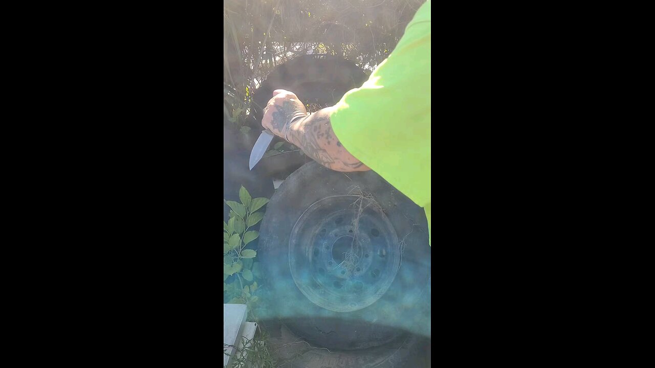TIRE STABBING ACCOMPLICE