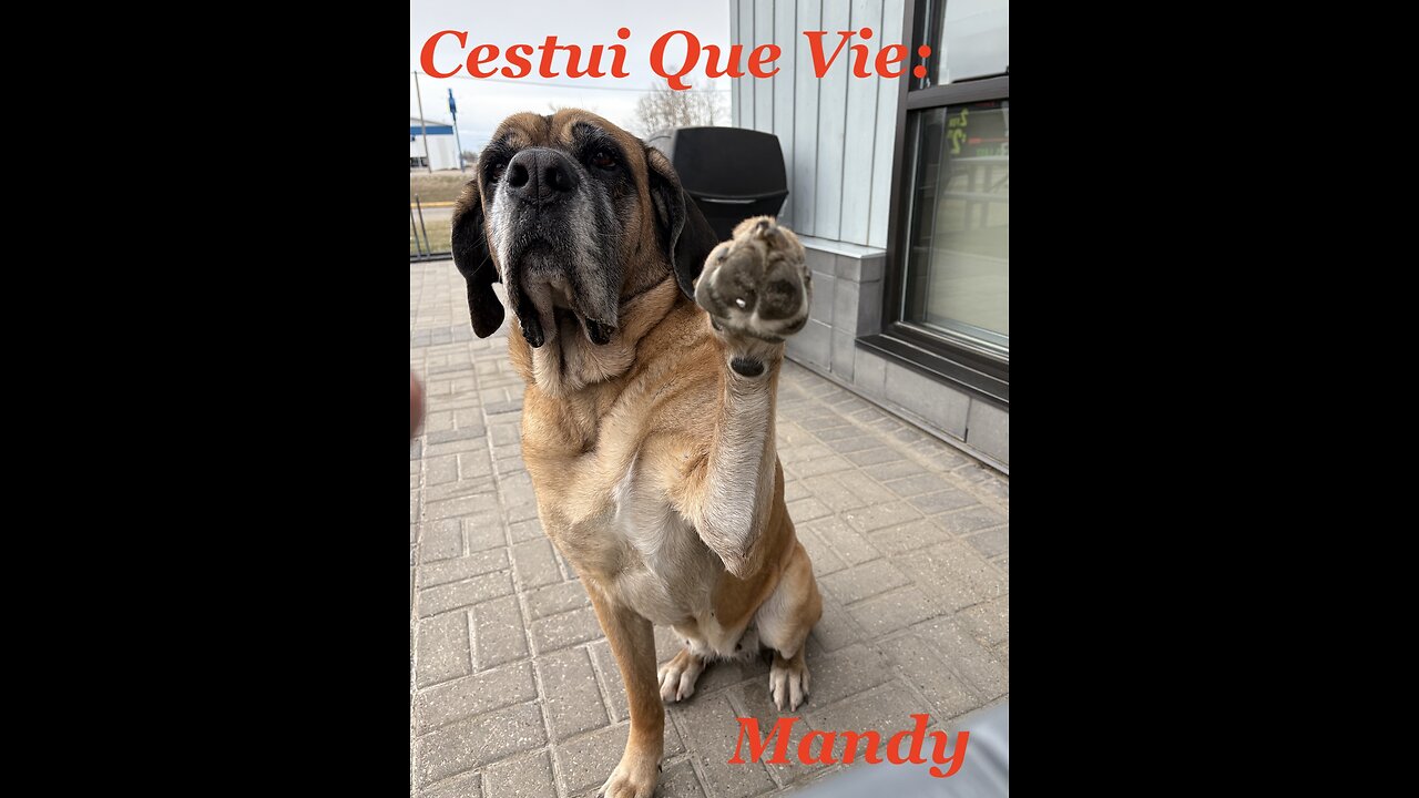 Cestui Que Vie: Mandy