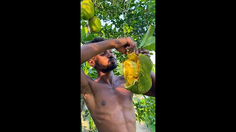 Fresh ripe jackfruit from tree 🌴🌴🌴 #jackfruit #fruits
