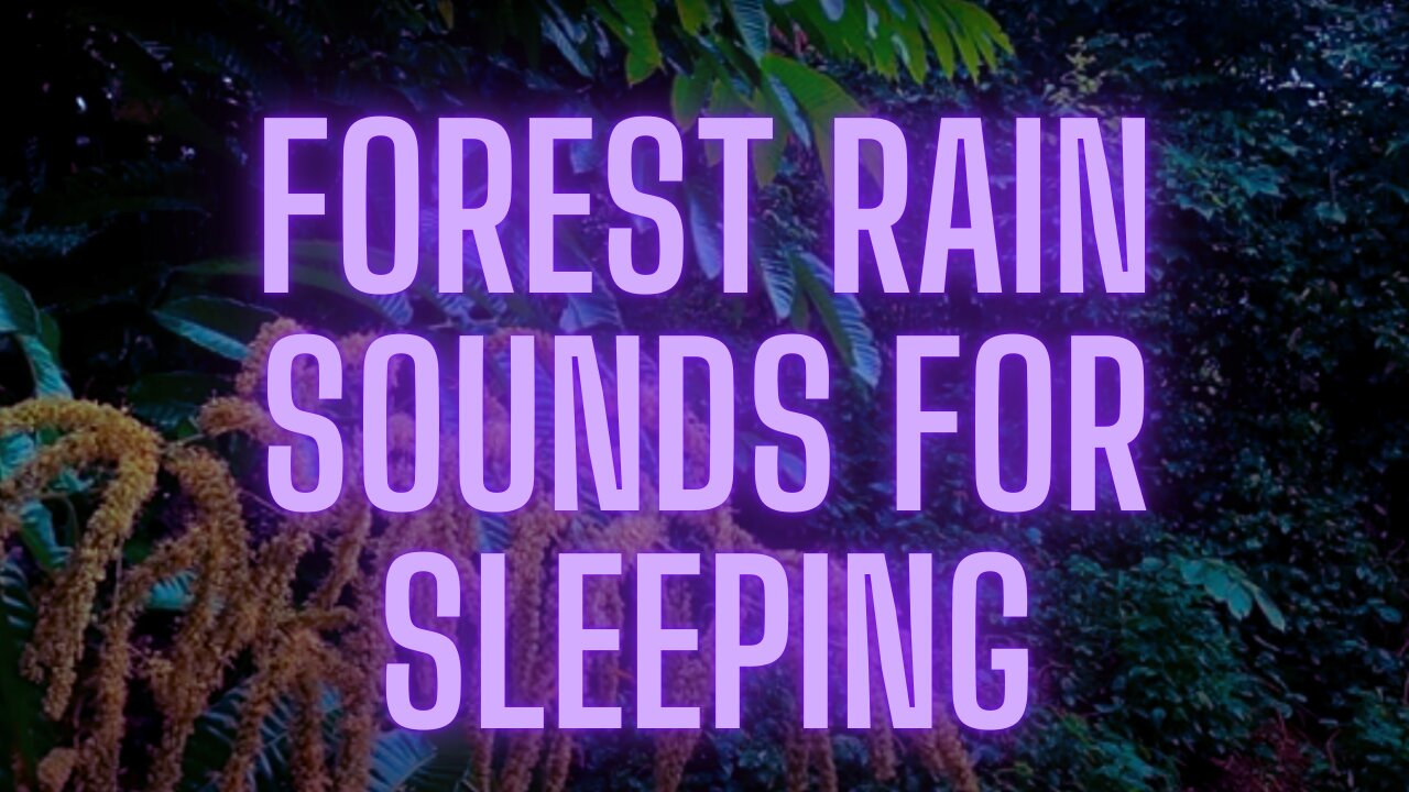 Forest Rain Sounds for Sleeping