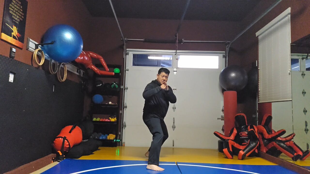 WTD 2 Step Kick Combination 115