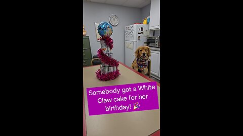 Somebody got a White Claw cake for her birthday!