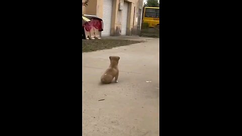 हमे तुम से प्यार कितना