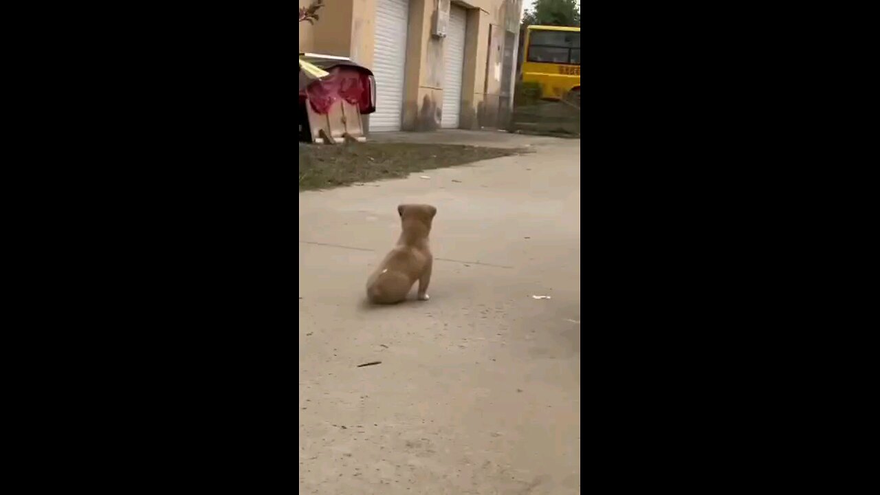 हमे तुम से प्यार कितना