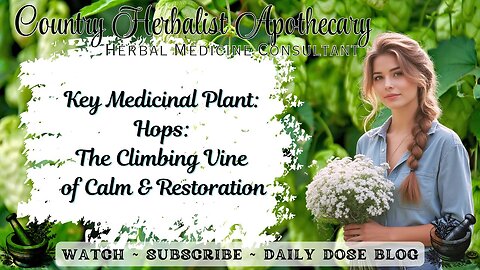 Key Medicinal Plant: Hops: The Climbing Vine of Calm and Restoration