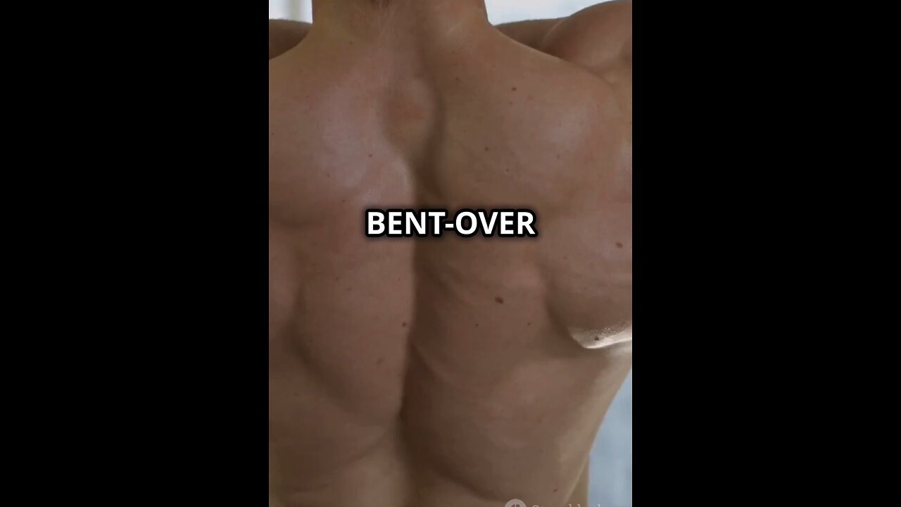 Top 3 Back exercise