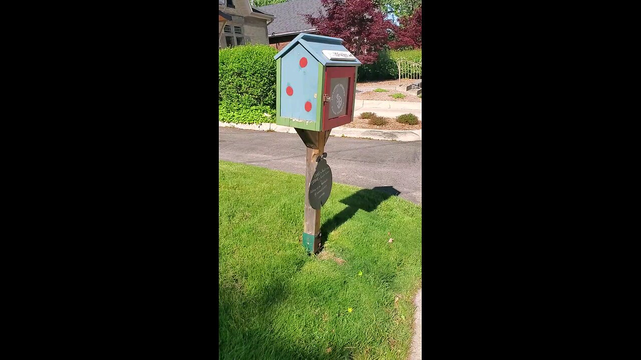 Lady Bug Little Free Library