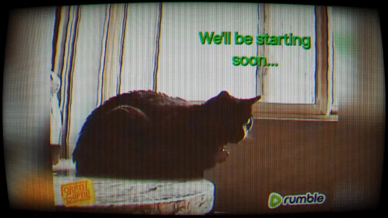 Predator News Breakdown