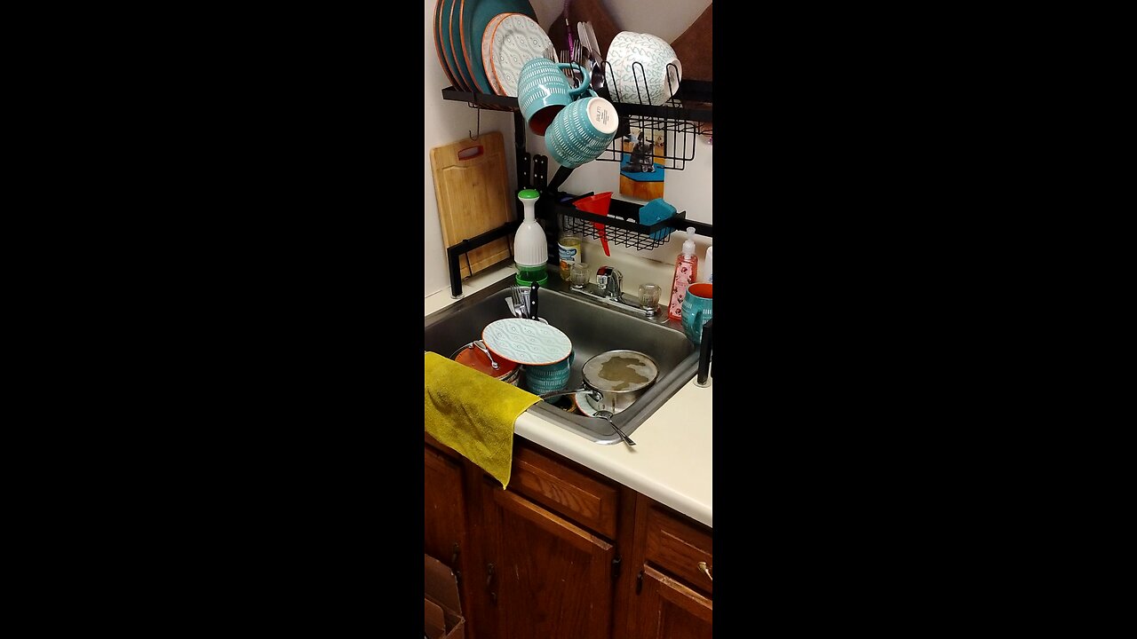 How to save water when doing the dishes tutorial