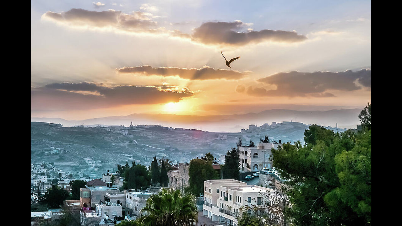 Bechukosai - What can We do to Protect against Rising Antisemitism and 600 days of War in Israel?