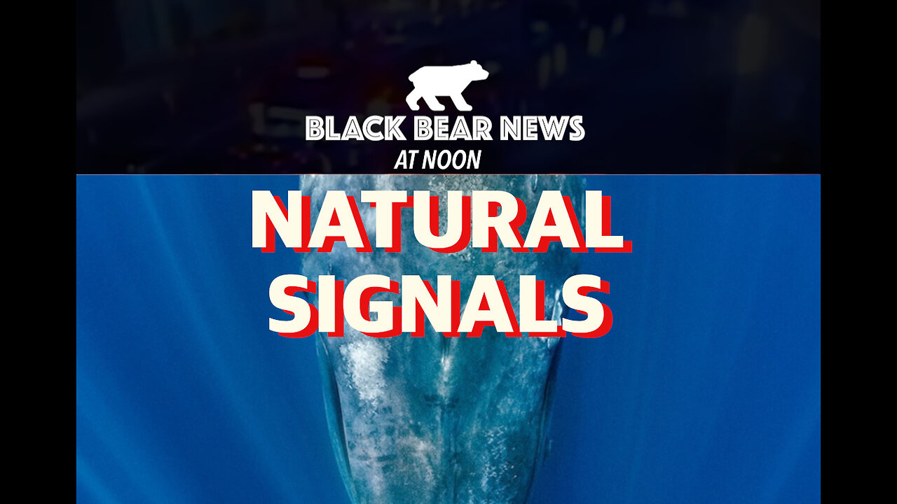 Natural Signals | Digital Signals | Digital Exit