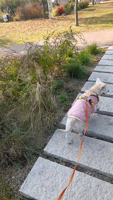 20251104. God made the world.