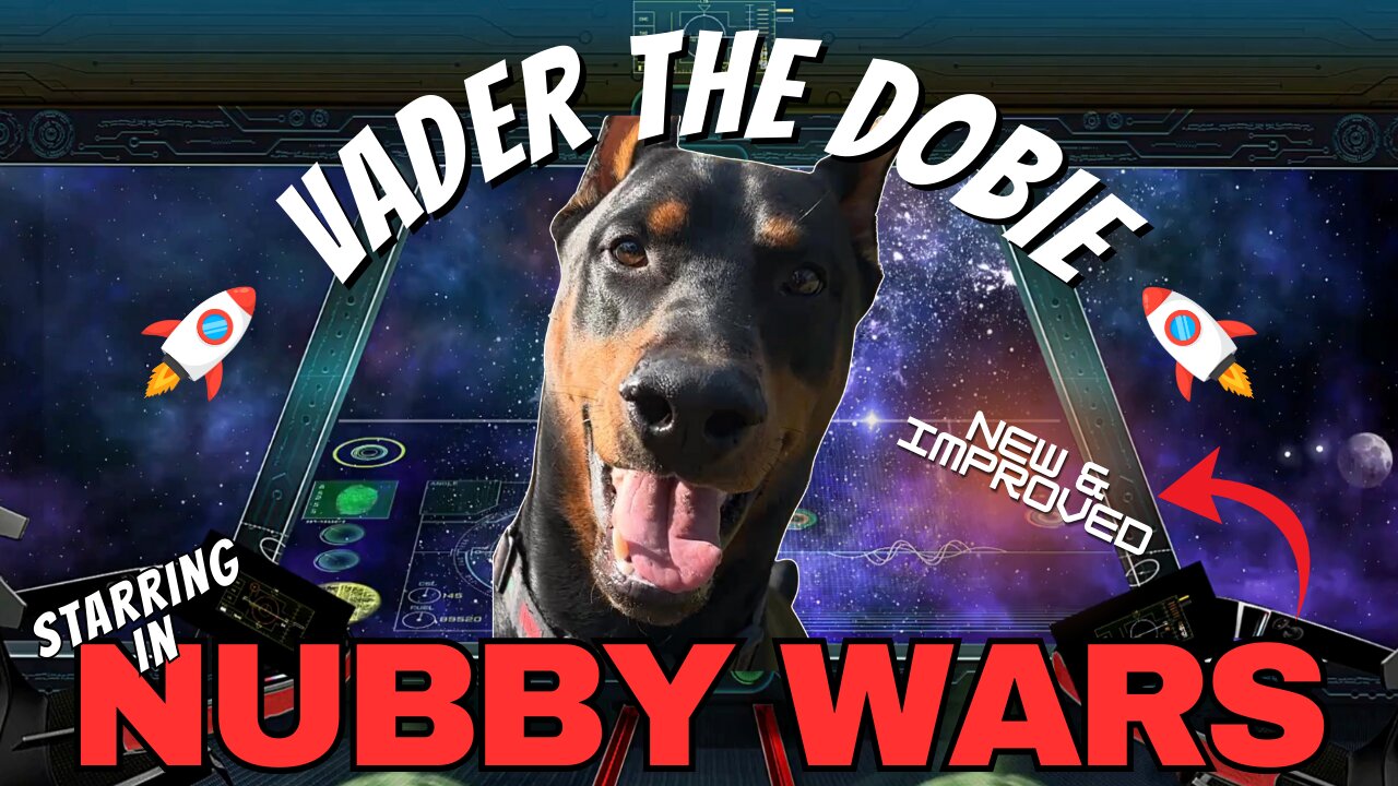 Nubby Wars 2.0: The Re-Deux | Doberman vs. Cat vs. The Legendary Chew Toy ⚔️🐾