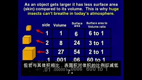 Dr Hovind Sem2 - "伊甸园" – ZHcs 中文