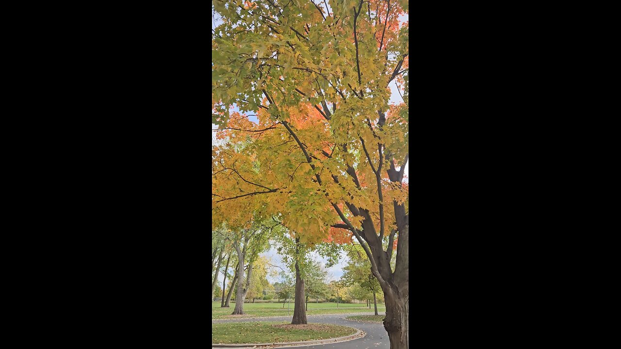 Some Pretty Autumn Colors