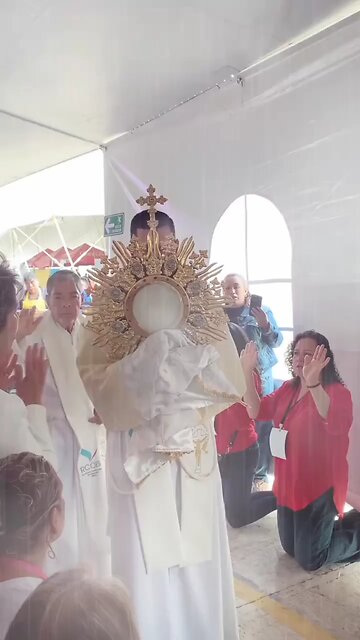 DIVINE PRAISES & THE BLESSED SACRAMENT #truth #jesus #mary #joseph #ihs #church #bible #christian #