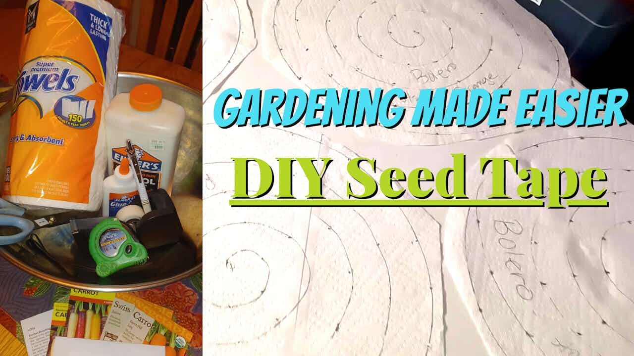 DIY Seed Tape ~ Save Time & Skip Thinning! Gardneing Made Easier.