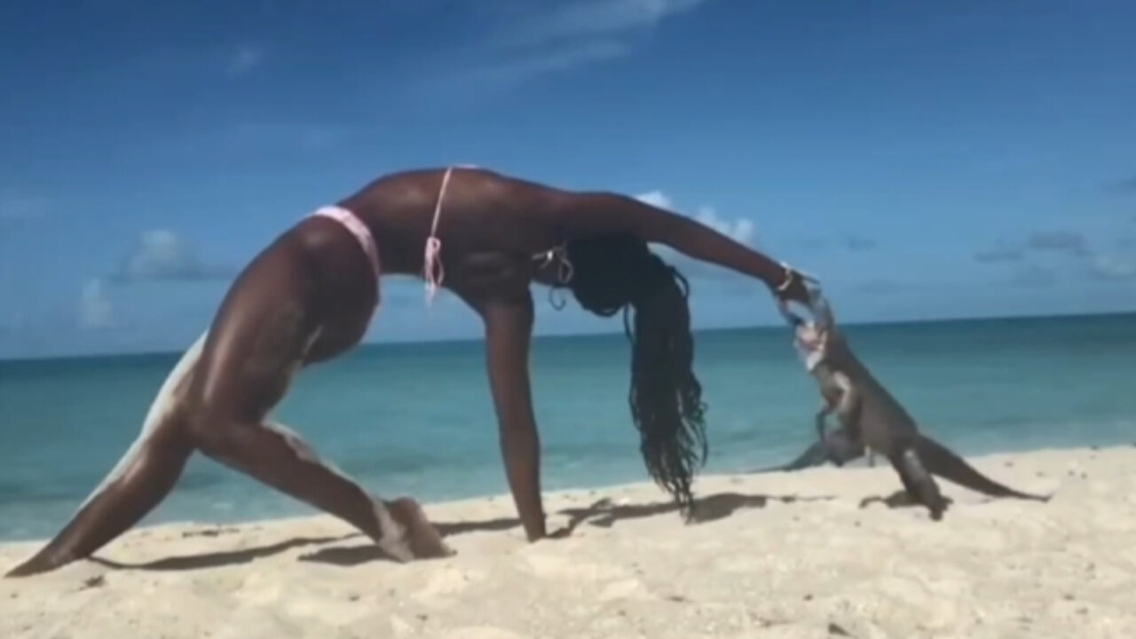 Tourist gets bitten by an iguana while trying to do yoga on the beach in the Bahamas