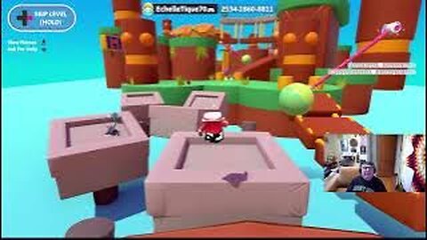 chill gamer playing fall guys and sonic rumble