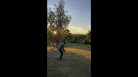 Tree touble