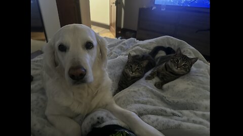 Episode 3046 CoughingWSA 12/18/25