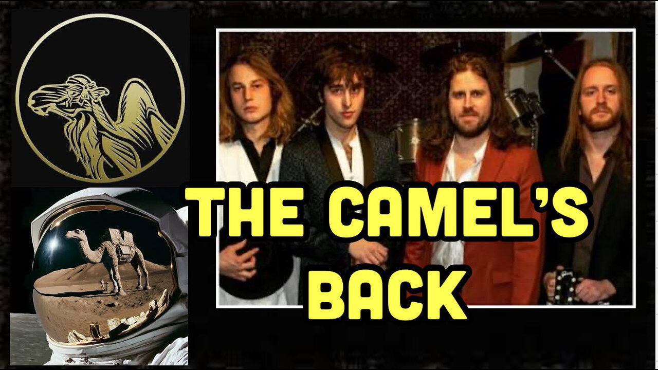 Get Ready To Groove: Why Brass Camel Is The Band You Need To Know About Right Now!