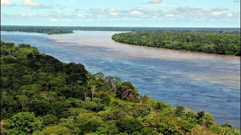Amazon rainforest most important fact