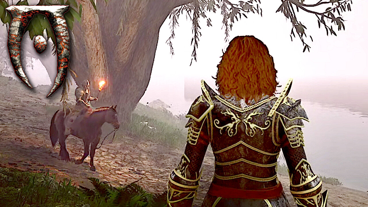 Aid for Bruma - Zahra Heads to Leyawiin and Bravil