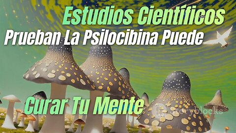 🍄 Descubre los beneficios de la psilocibina según estudios de Hopkins 🧠✨