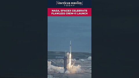 NASA, SpaceX, celebrate flawless crew-11 launch.