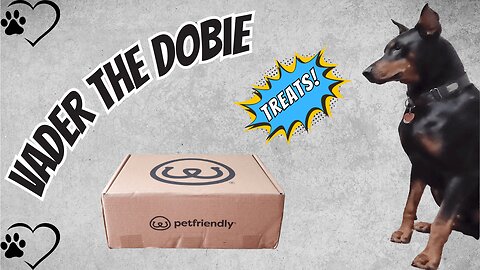 Doberman Tries New Treats & Flea Treatment | Vader’s Unboxing Adventure