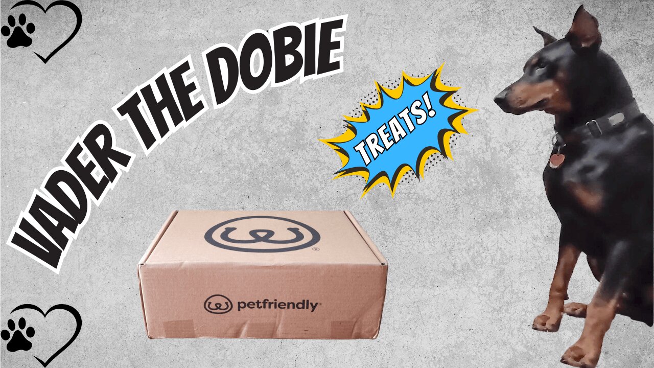 Doberman Tries New Treats & Flea Treatment | Vader’s Unboxing Adventure