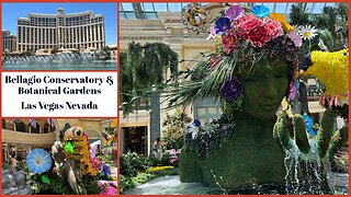 Bellagio Conservatory and Botanical Garden - Amazing Floral Displays - Las Vegas Nevada USA 2025