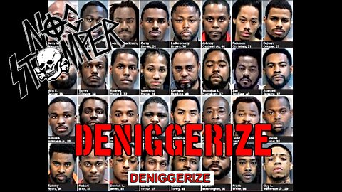 Nog Stomper - Deniggerize