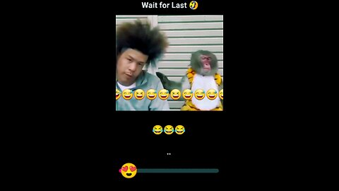 monkey hairstyle