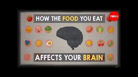 How the food you eat affects your brain - Mia Nacamulli