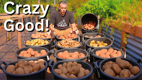 Unstoppable Food - Gardening Experts Said This Wouldn’t Work—Now I Have 450 lbs of Potatoes
