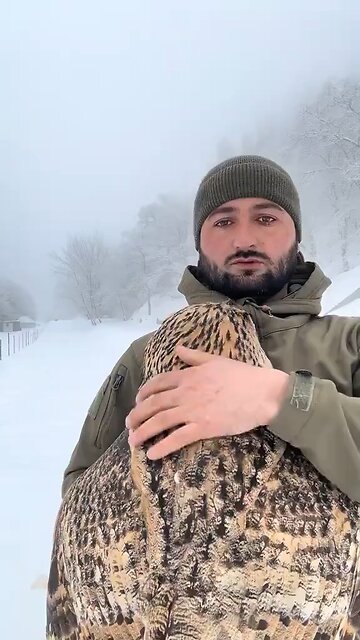 In Russia Raising An Owl Is A Common Tradition. Sadly No Subtitles; Enjoy The Love & Beauty Shown