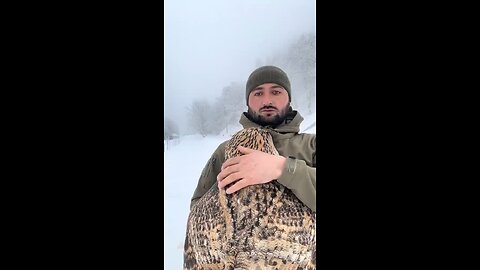 In Russia Raising An Owl Is A Common Tradition. Sadly No Subtitles; Enjoy The Love & Beauty Shown