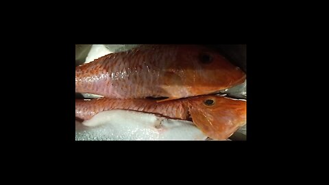 fish baking #shorts895